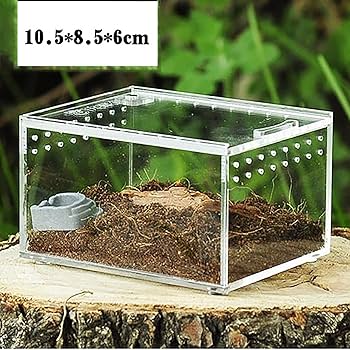 Amazon | TSUBASI アクリルケージ 爬虫類 ケージ 飼育ケース